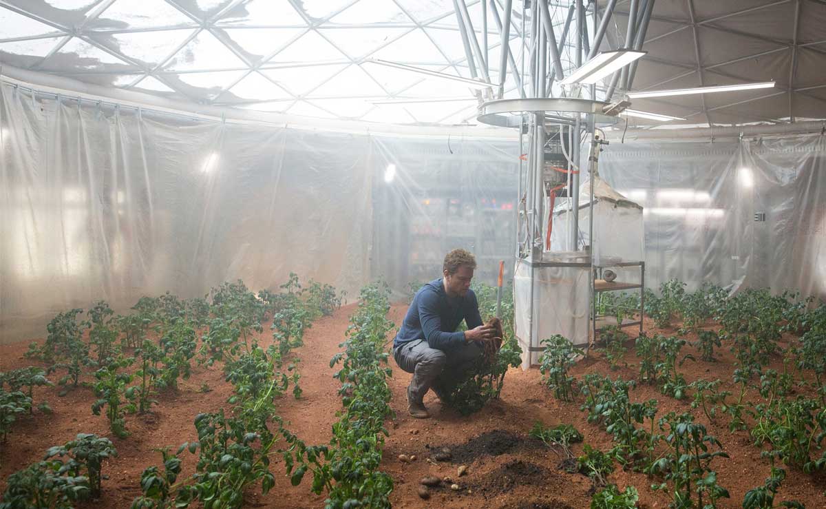 You can grow potatoes on MARS