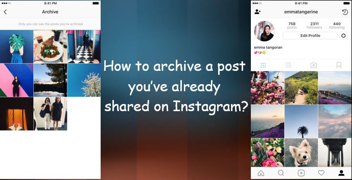 archive post instagram