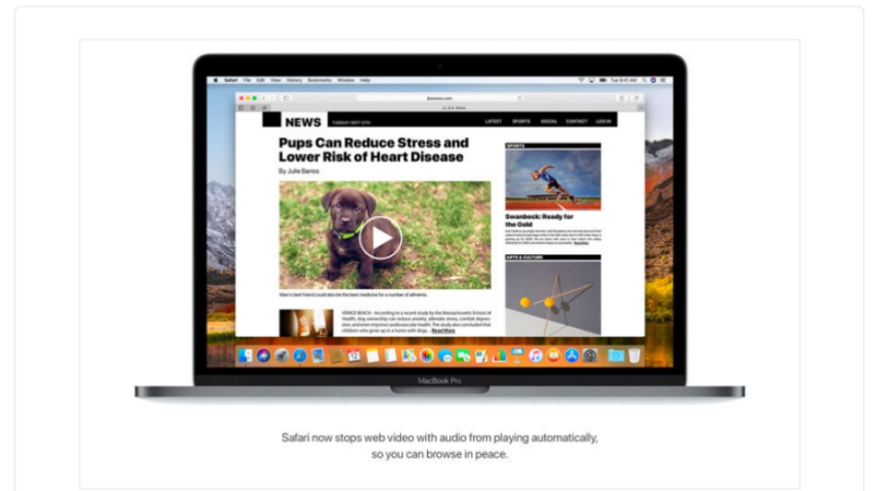 how to disable video autoplay on safari browser