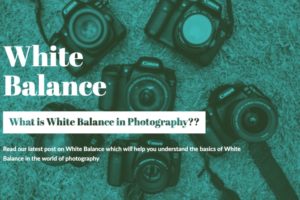 what is white balance in photography