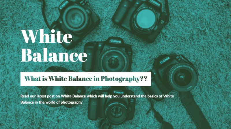 what is white balance in photography