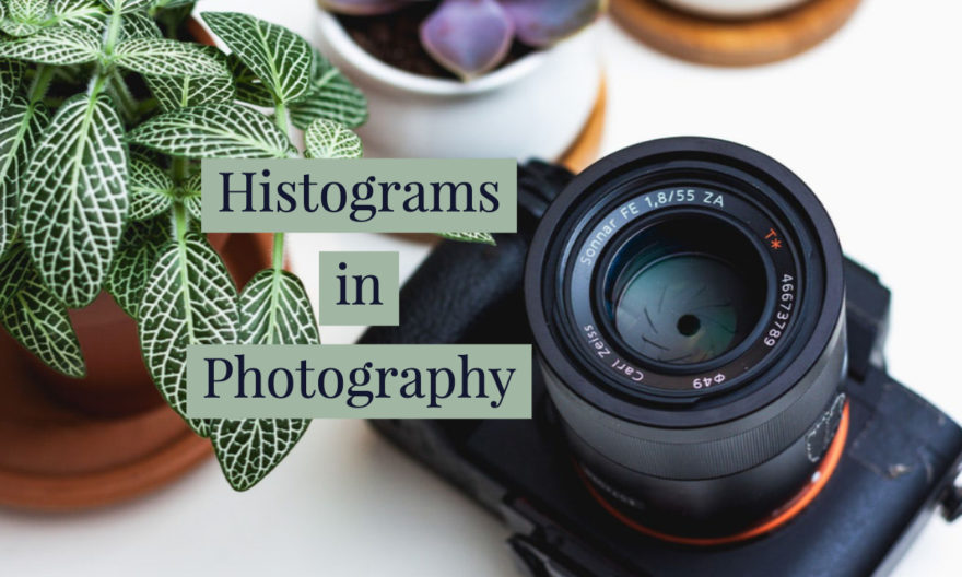 histograms in photography