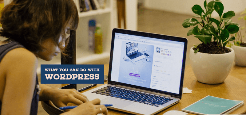 what we can do with wordpress