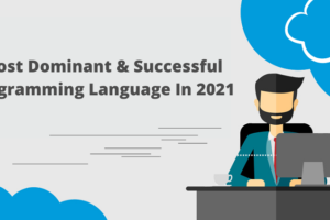 Most Dominant And Successful Programming Language In 2021