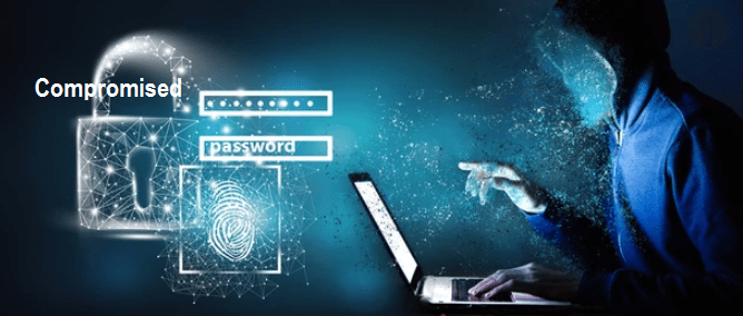 how to use Password Checker Tool