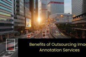 Benefits of Outsourcing Image Annotation Services