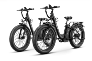 joy of electric bikes