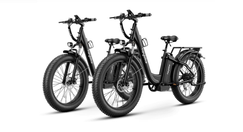 joy of electric bikes