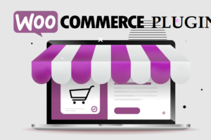 woocommerce plugin